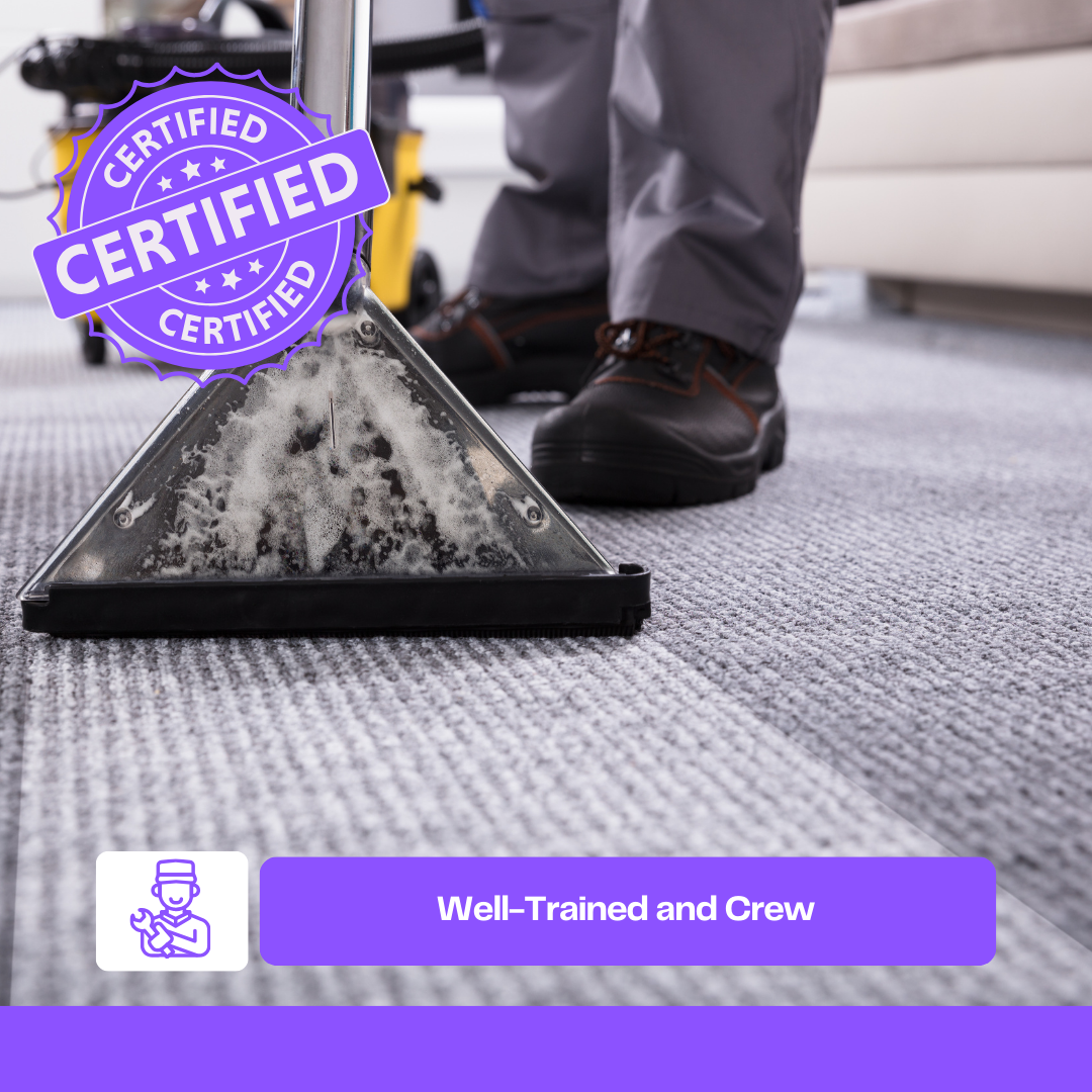Carpet / Rug Cleaning