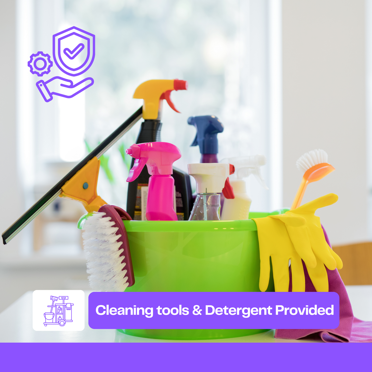 Basic House Cleaning