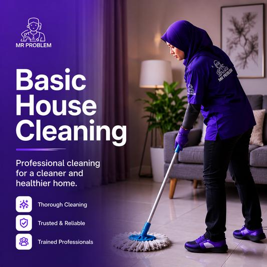 Basic House Cleaning