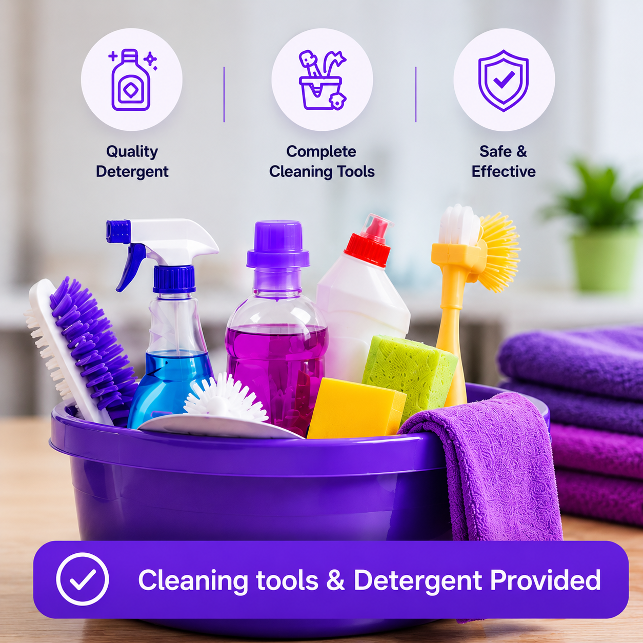 Basic House Cleaning